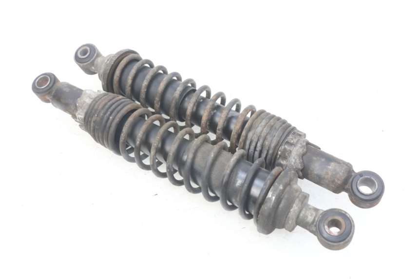 photo de PAIRE AMORTISSEUR ARRIERE PIAGGIO X9 EVOLUTION 125 (2003 - 2007) - Vue principale