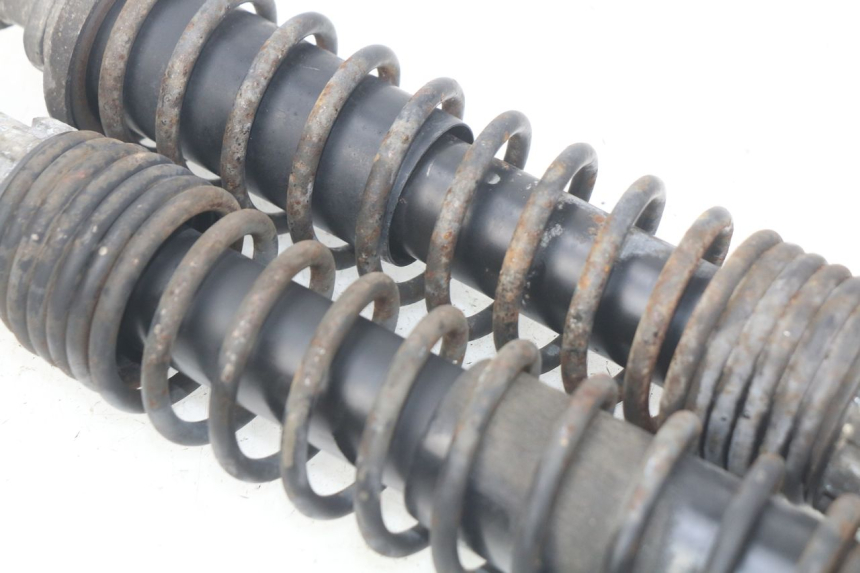 photo de PAIRE AMORTISSEUR ARRIERE PIAGGIO X9 EVOLUTION 125 (2003 - 2007) - Vue d’ensemble