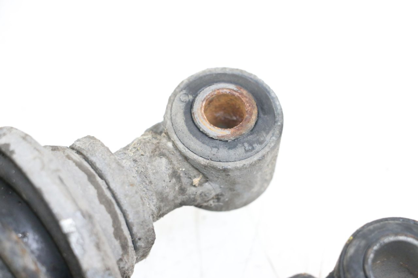 photo de PAIRE AMORTISSEUR ARRIERE PIAGGIO X9 125 (2000 - 2003) - Vue d’ensemble