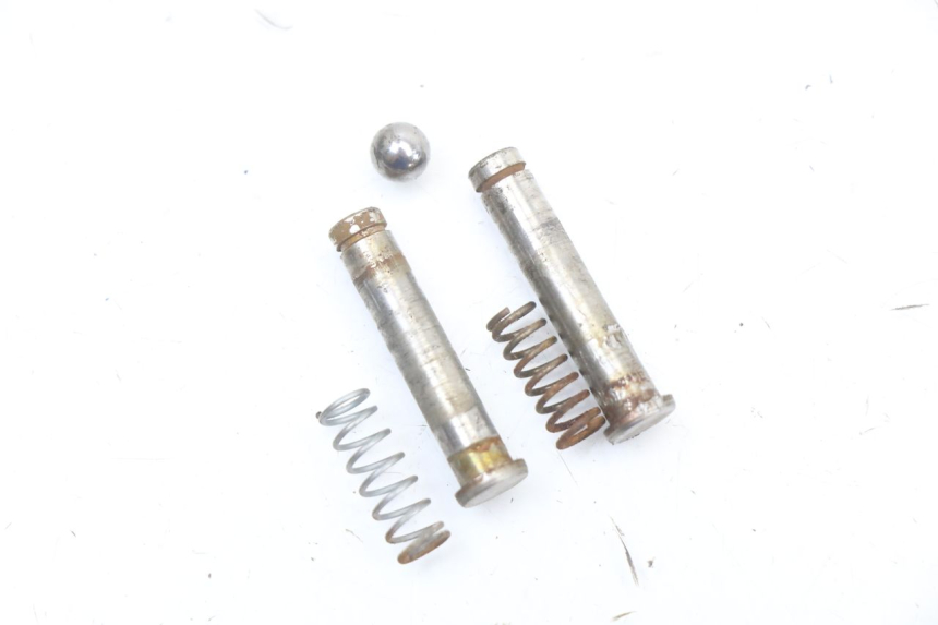 photo de PAIRE CALE PIED ARRIERE RENAULT KOURANOS 125 (2001 - 2004) - Gros plan technique