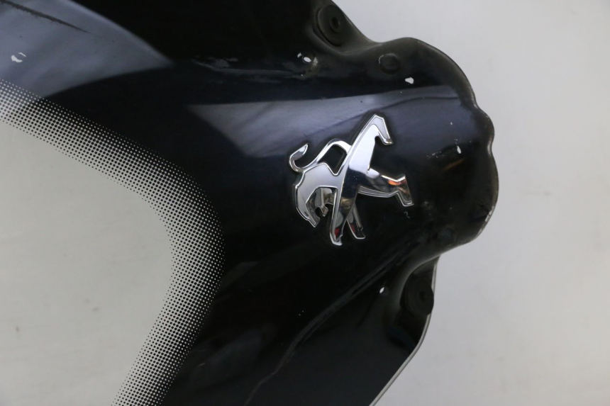 photo de PARE BRISE PEUGEOT SATELIS 125 (2010 - 2012) - Focus structure