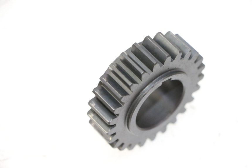 photo de PIGNON DAELIM HISTORY 125 (2001 - 2002) - Zoom état d’usage