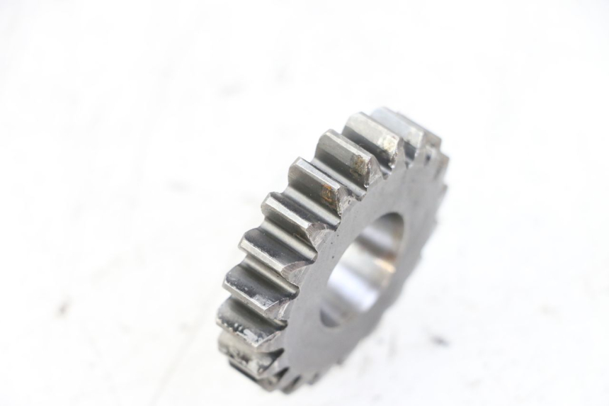 photo de PIGNON LONGJIA SHARPY 125 (2020 - 2024) - Autre angle de vue