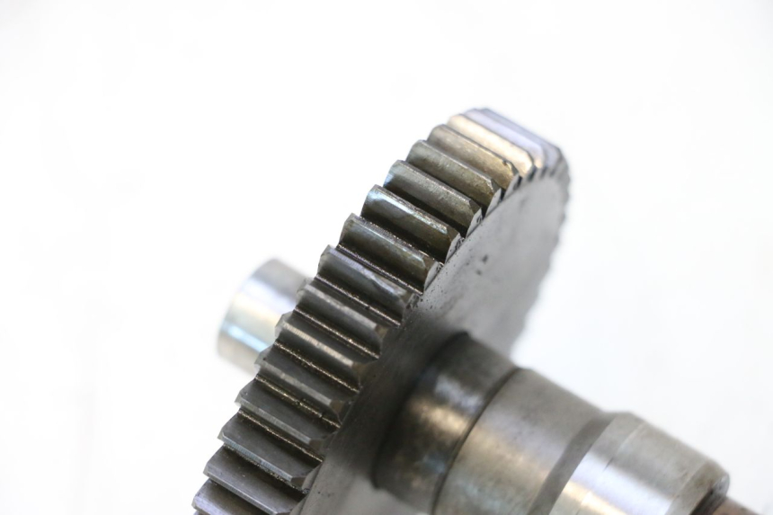 photo de PIGNON TRANSMISSION PEUGEOT LUDIX ONE 14P 50 (2004 - 2013) - Zoom état d’usage