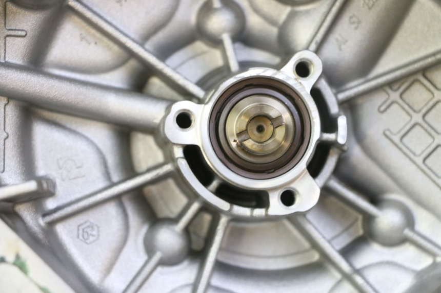 photo de POMPE A EAU PIAGGIO MP3 RL 250 (2006 - 2010) - Gros plan technique