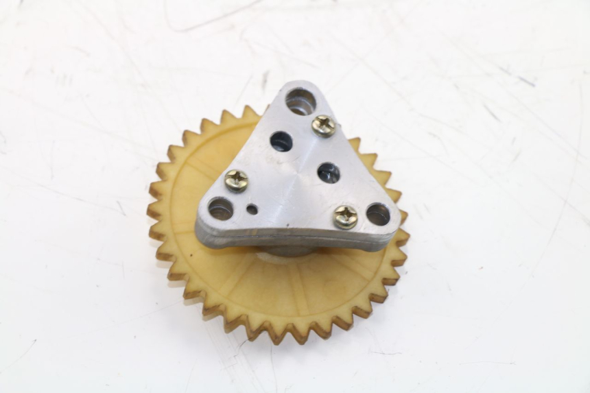 photo de POMPE A HUILE BAOTIAN BT 49 QT-9 50 (2006 - 2010) - Zoom état d’usage