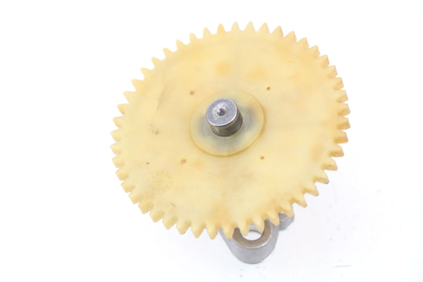 photo de POMPE A HUILE JM MOTORS SUNNY 50 (2017 - 2020) - Détail de la pièce