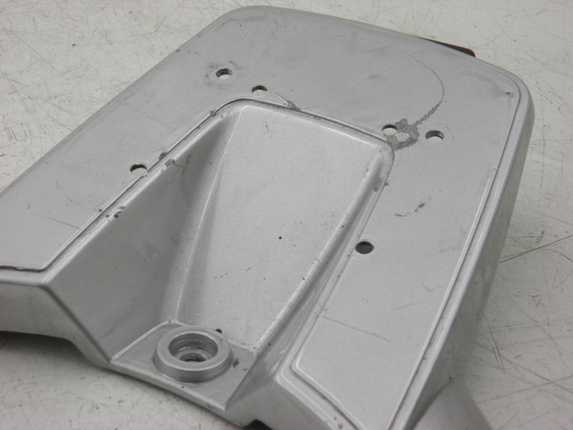 photo de PORTE PAQUET BENZHOU YY50QT31 VINTAGE 50 (2009 - 2012) - Vue d’ensemble