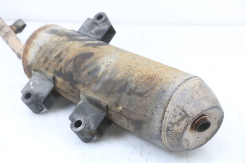 photo de POT ECHAPPEMENT LONGJIA EASY MAX 125 (2020 - 2024) - Détails caractéristiques