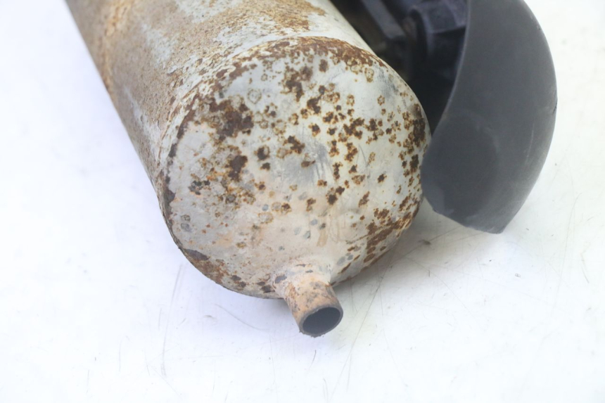 photo de POT ECHAPPEMENT TNT MOTOR ROMA 10' 2T 50 (2011 - 2018) - Détails caractéristiques