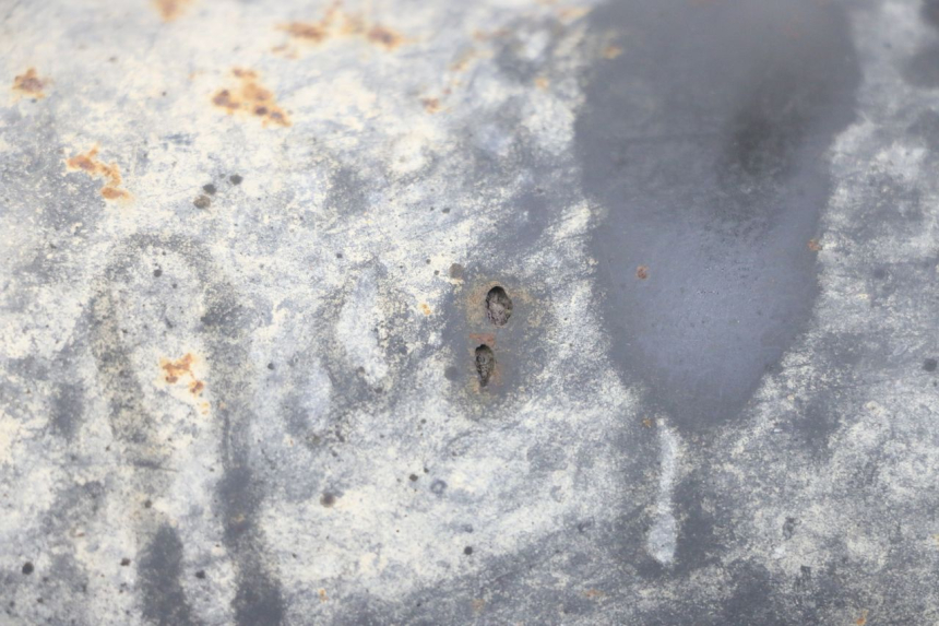 photo de POT ECHAPPEMENT TNT MOTOR ROMA 10' 4T 50 (2007 - 2018) - Autre angle de vue