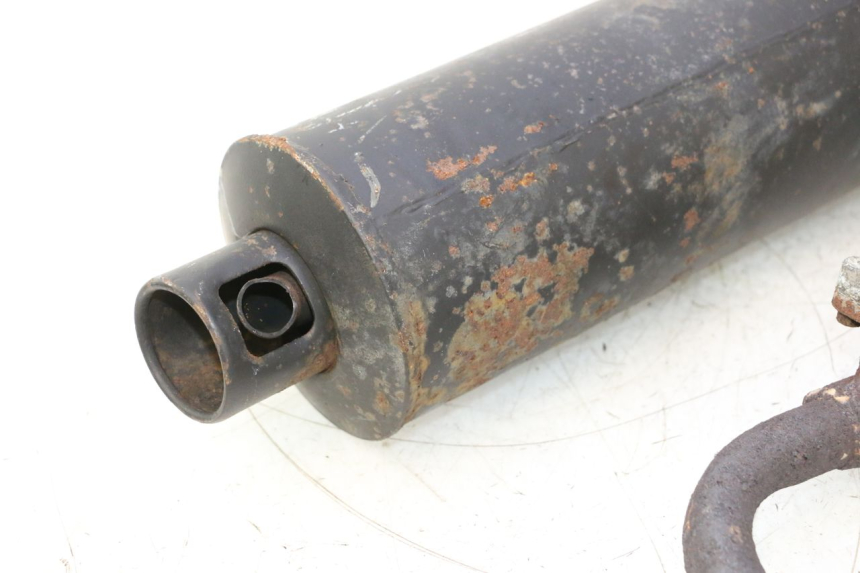 photo de POT ECHAPPEMENT TNT MOTOR ROMA 10' 4T 50 (2007 - 2018) - Vue principale