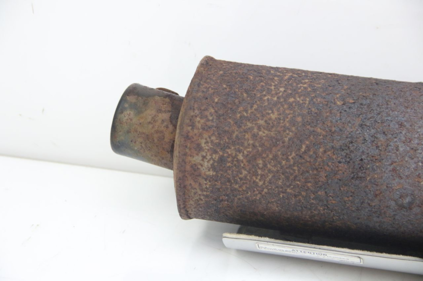 photo de POT ECHAPPEMENT TNT MOTOR ROMA 12' 2T 50 (2007 - 2018) - Vue rapprochée