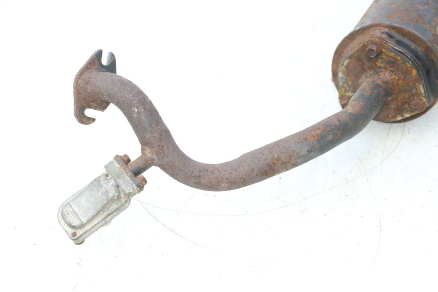 photo de POT ECHAPPEMENT TNT MOTOR ROMA 12' 2T 50 (2007 - 2018) - Marquages et références