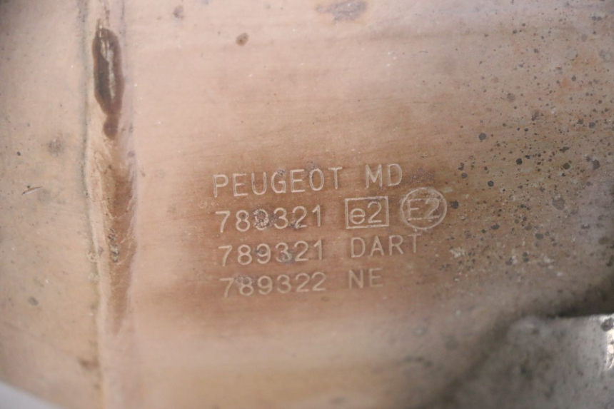 photo de POT ECHAPPEMENT PEUGEOT SATELIS 125 (2013 - 2018) - Vue d’ensemble