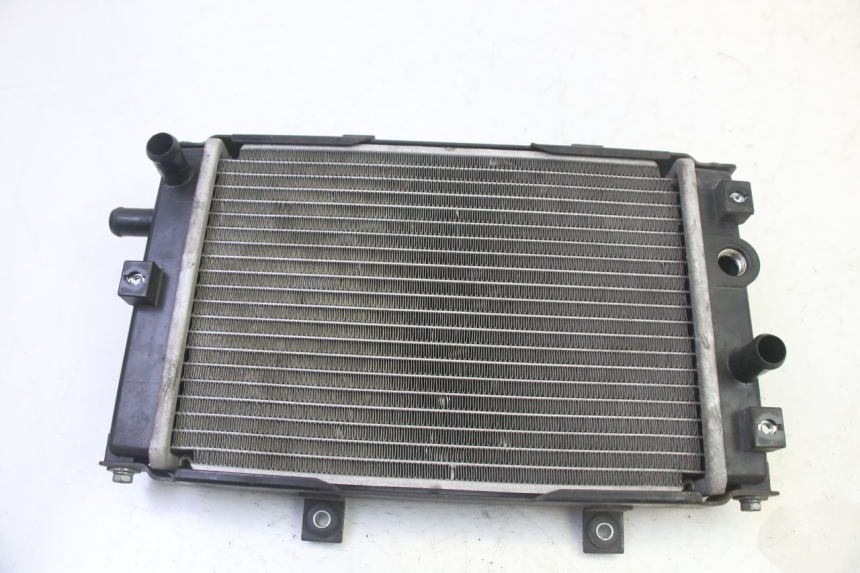 photo de RADIATEUR QUADRO 4 4D 350 (2015 - 2018) - Vue principale
