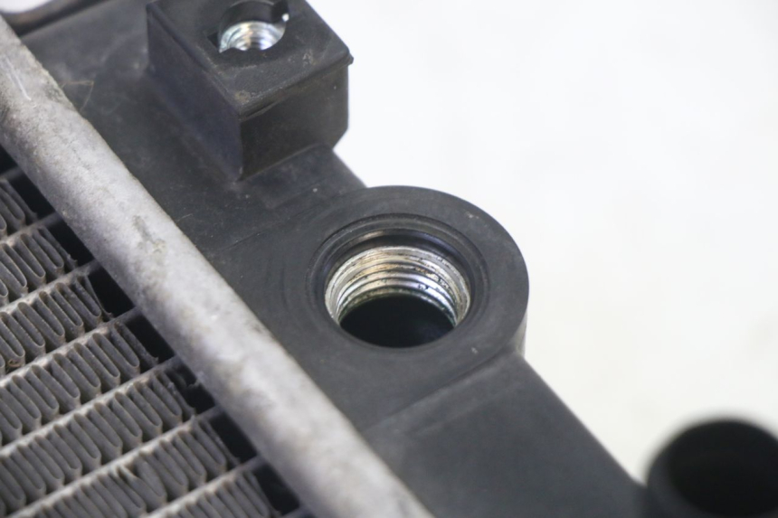 photo de RADIATEUR QUADRO 4 4D 350 (2015 - 2018) - Détail de la pièce