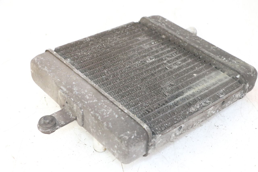 photo de RADIATEUR SUZUKI BURGMAN 125 (2007 - 2014) - Vue d’ensemble