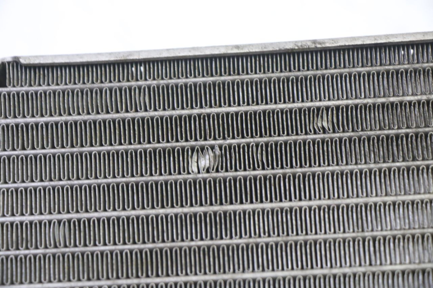 photo de RADIATEUR SUZUKI BURGMAN 125 (2007 - 2014) - Zoom état d’usage