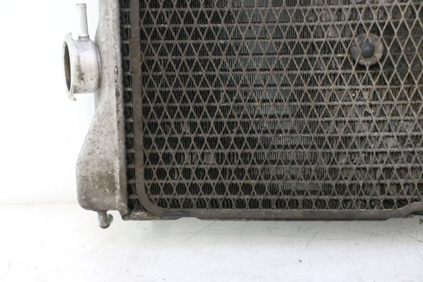 photo de RADIATEUR SUZUKI BURGMAN EXECUTIVE ABS 650 (2006 - 2012) - Angle alternatif
