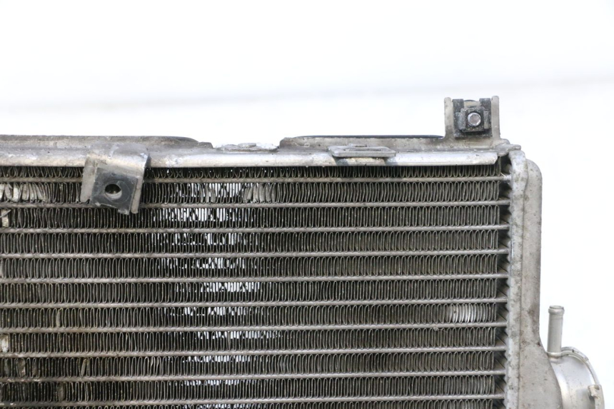 photo de RADIATEUR SUZUKI BURGMAN EXECUTIVE ABS 650 (2006 - 2012) - Zoom état d’usage