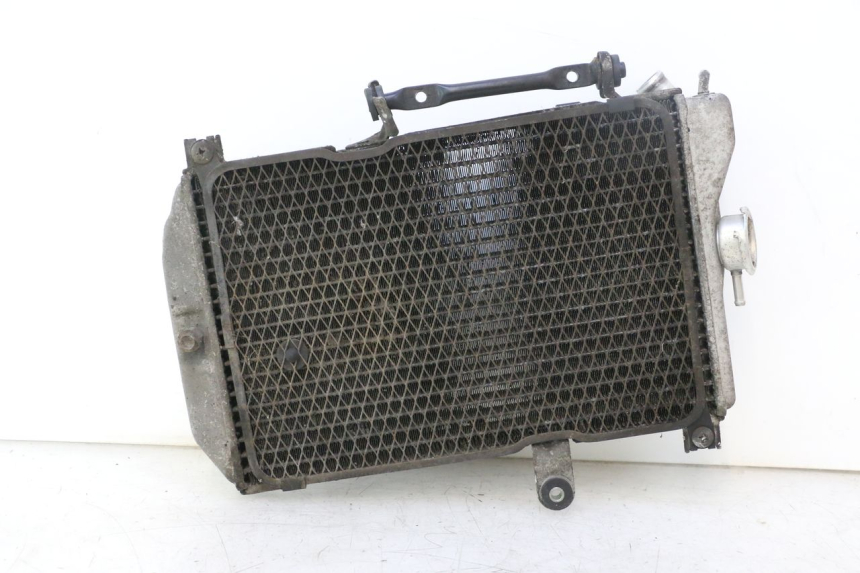 photo de RADIATEUR SUZUKI BURGMAN EXECUTIVE ABS 650 (2006 - 2012) - Vue principale