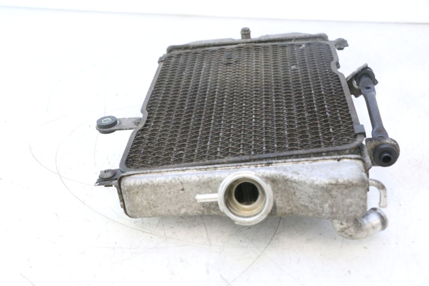 photo de RADIATEUR SUZUKI BURGMAN EXECUTIVE ABS 650 (2006 - 2012) - Vue produit