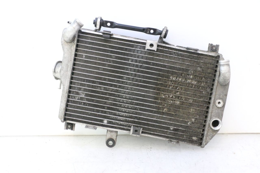 photo de RADIATEUR SUZUKI BURGMAN EXECUTIVE ABS 650 (2006 - 2012) - Vue d’ensemble