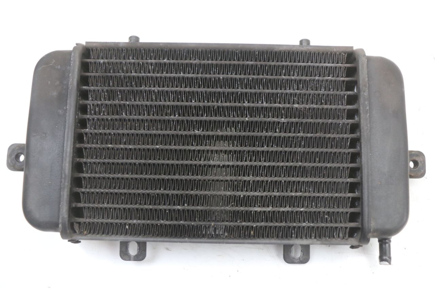 photo de RADIATEUR BMW C1 125 (2000 - 2003) - Détail de la pièce