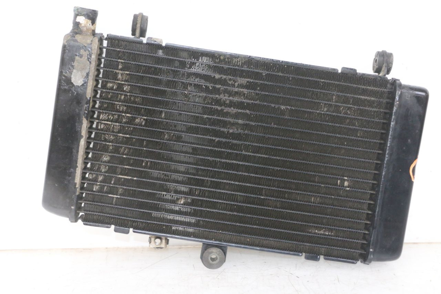 photo de RADIATEUR HONDA CBF 500 (2004 - 2007) - Vue principale