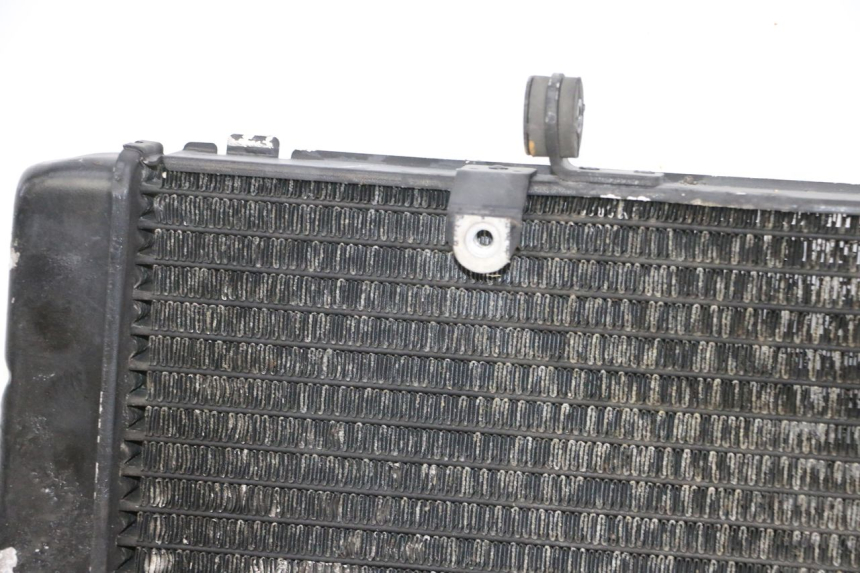 photo de RADIATEUR HONDA CBR RR FIREBLADE 900 (1992 - 1994) - Aperçu profil