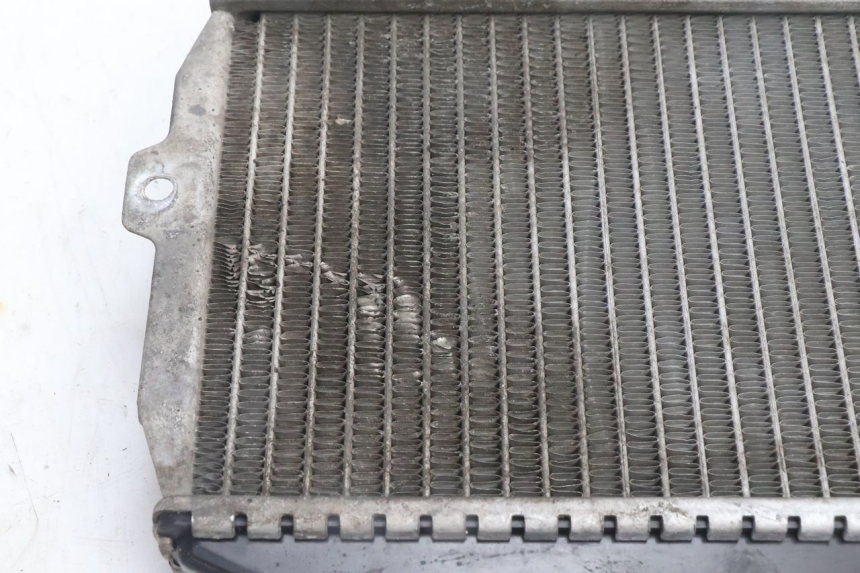 photo de RADIATEUR PEUGEOT CITYSTAR 125 (2011 - 2017) - Zoom état d’usage