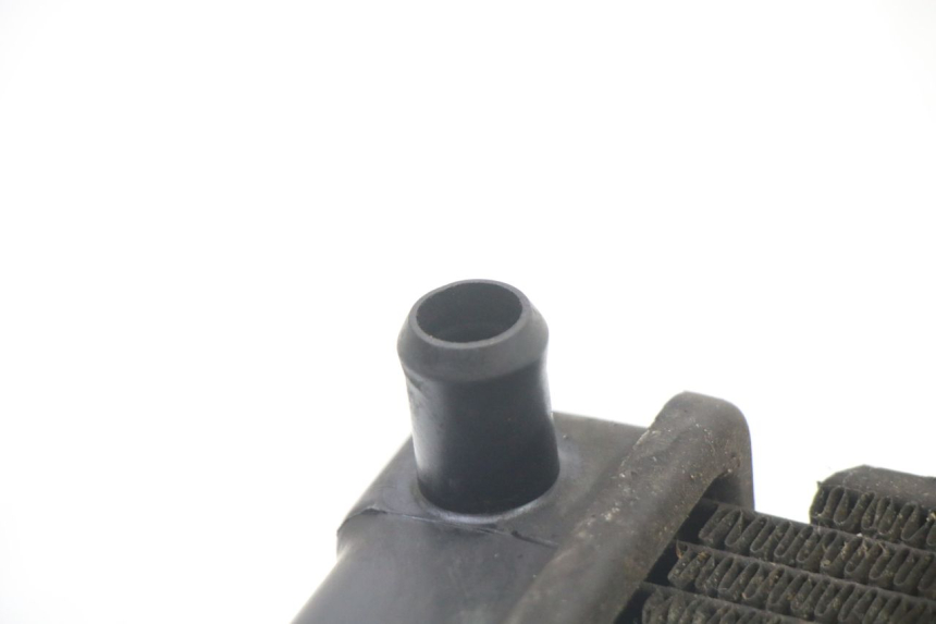 photo de RADIATEUR KYMCO DINK STREET 125 (2009 - 2014) - Vue d’ensemble