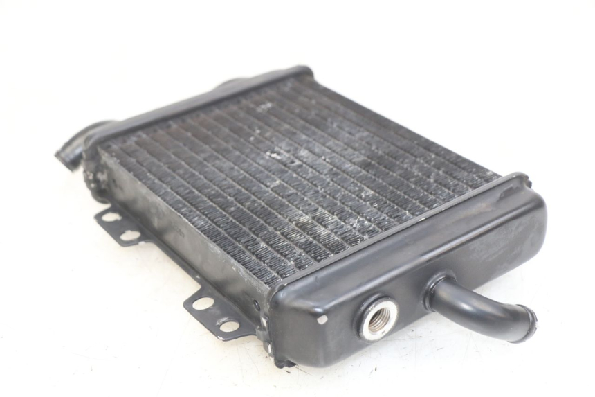 photo de RADIATEUR PEUGEOT ELYSEO 125 (1999 - 2004) - Zoom état d’usage