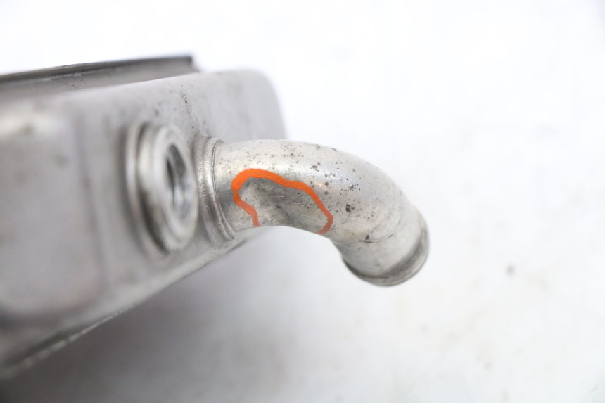 photo de RADIATEUR PEUGEOT ELYSEO 125 (1999 - 2004) - Vue d’ensemble