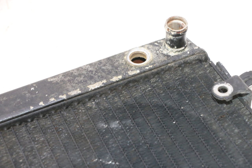 photo de RADIATEUR HONDA FES PANTHEON 2T 125 (1998 - 2002) - Détail de la pièce