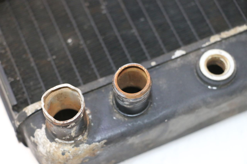photo de RADIATEUR HONDA FES PANTHEON 2T 125 (1998 - 2002) - Zoom état d’usage