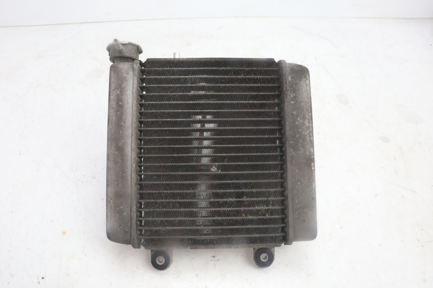 photo de RADIATEUR HONDA FES PANTHEON 125 (2003 - 2007) - Autre angle de vue
