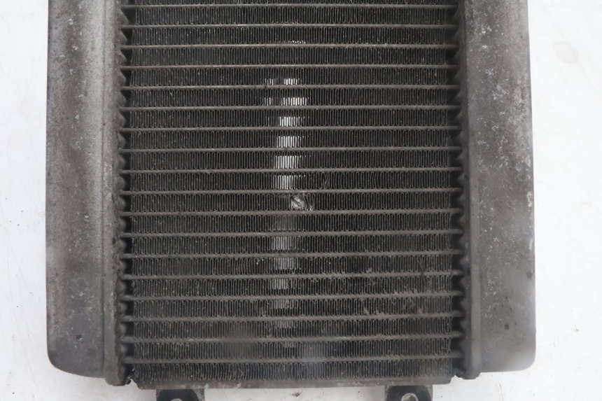 photo de RADIATEUR HONDA FES PANTHEON 125 (2003 - 2007) - Gros plan technique