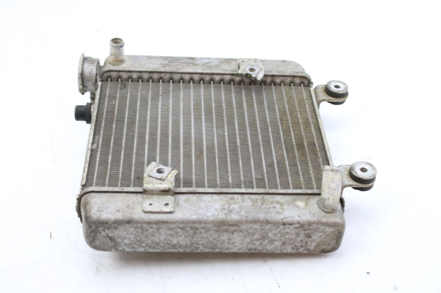 photo de RADIATEUR HONDA FES S-WING SWING ABS 125 (2007 - 2015) - Zoom état d’usage