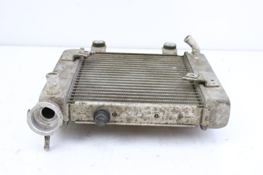 photo de RADIATEUR HONDA FES S-WING SWING ABS 125 (2007 - 2015) - Gros plan technique