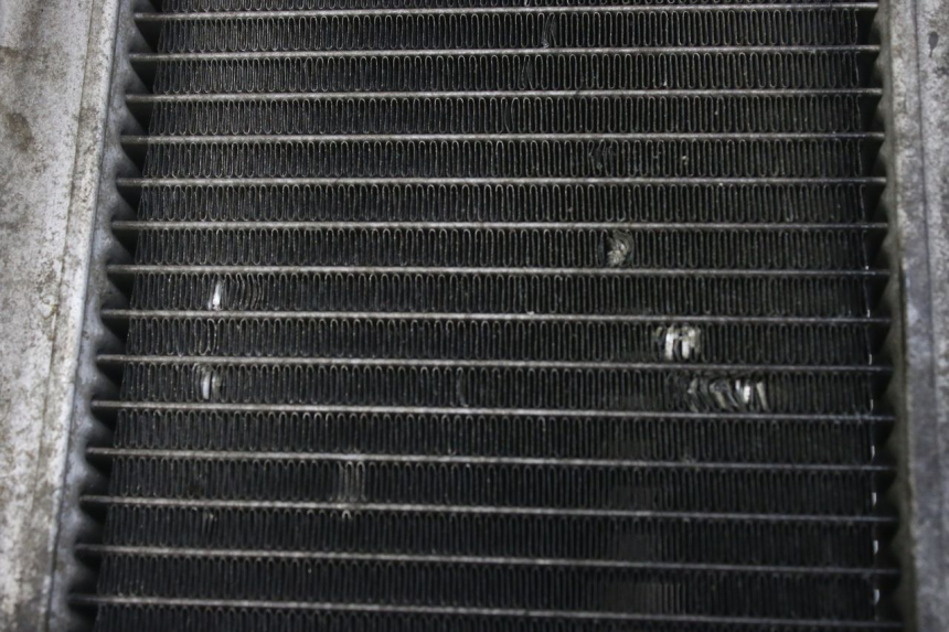 photo de RADIATEUR HONDA FES S-WING SWING ABS 125 (2007 - 2015) - Zoom état d’usage