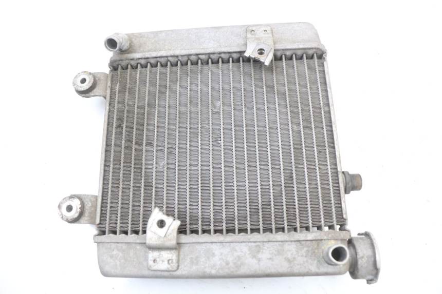 photo de RADIATEUR HONDA FES S-WING SWING ABS 125 (2007 - 2015) - Vue principale
