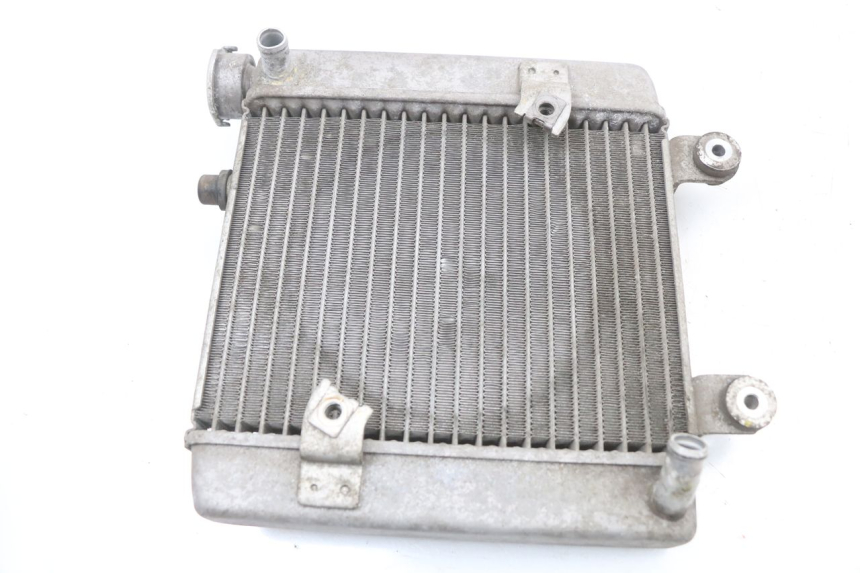 photo de RADIATEUR HONDA FES S-WING SWING ABS 125 (2007 - 2015) - Zoom état d’usage