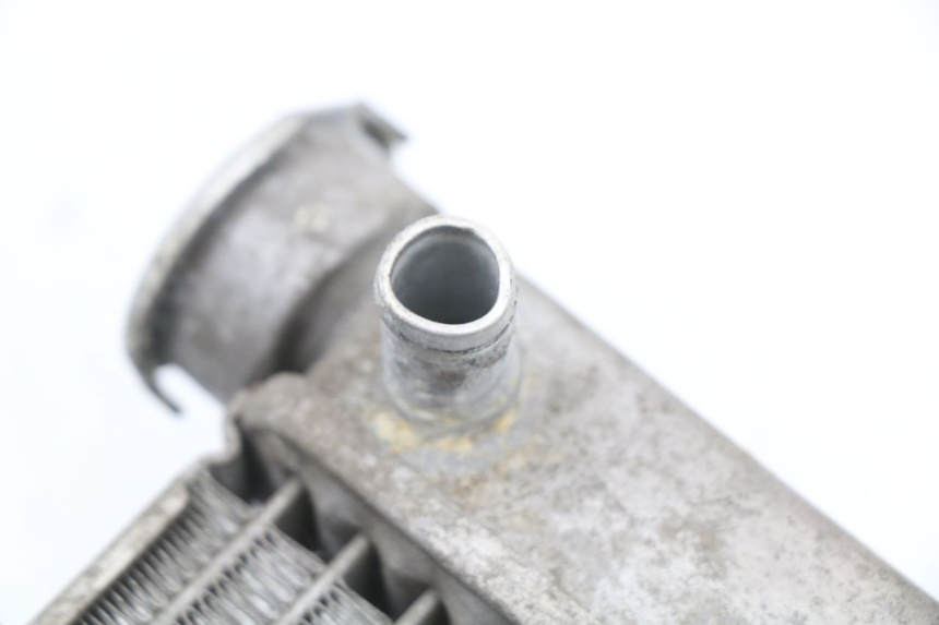 photo de RADIATEUR HONDA FES S-WING SWING ABS 125 (2007 - 2015) - Vue d’ensemble