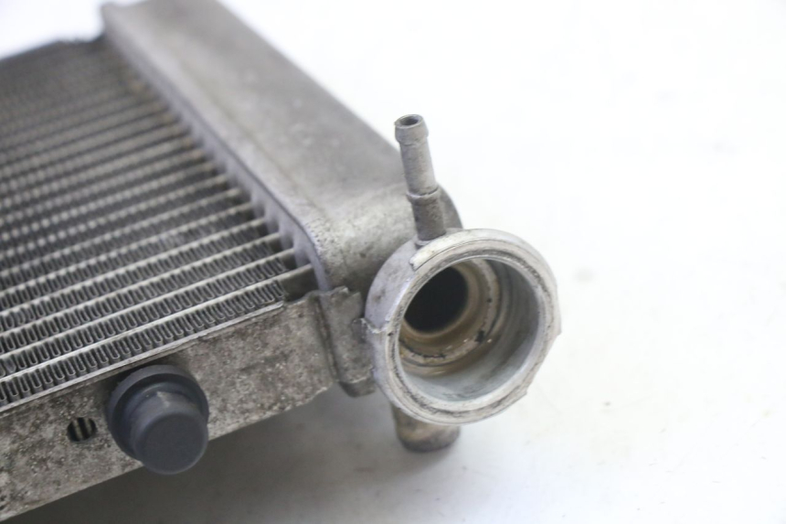 photo de RADIATEUR HONDA FES S-WING SWING ABS 125 (2007 - 2015) - Zoom état d’usage