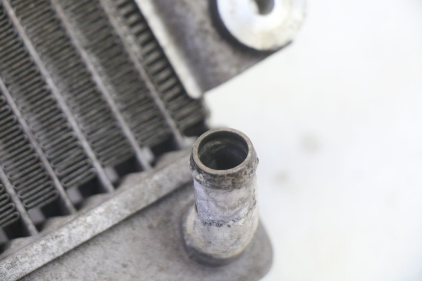 photo de RADIATEUR HONDA FES S-WING SWING ABS 125 (2007 - 2015) - Vue d’ensemble