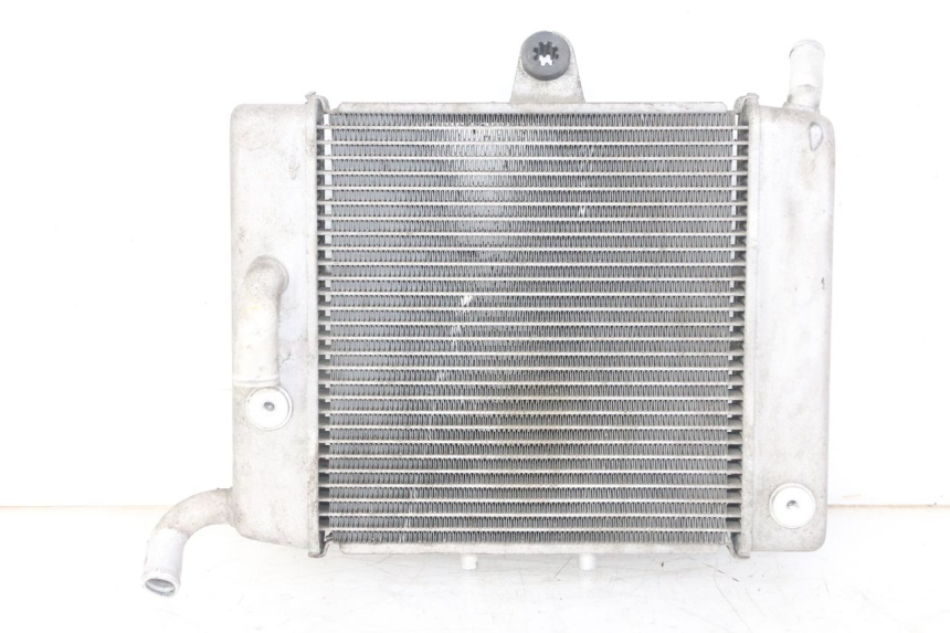 photo de RADIATEUR HONDA FORZA ABS 300 (2013 - 2017) - Vue principale