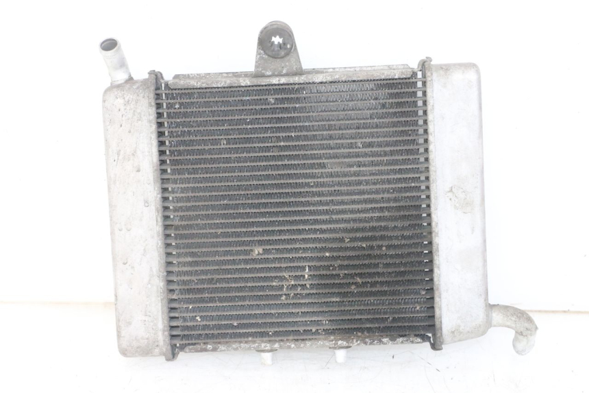 photo de RADIATEUR HONDA FORZA ABS 300 (2013 - 2017) - Vue produit