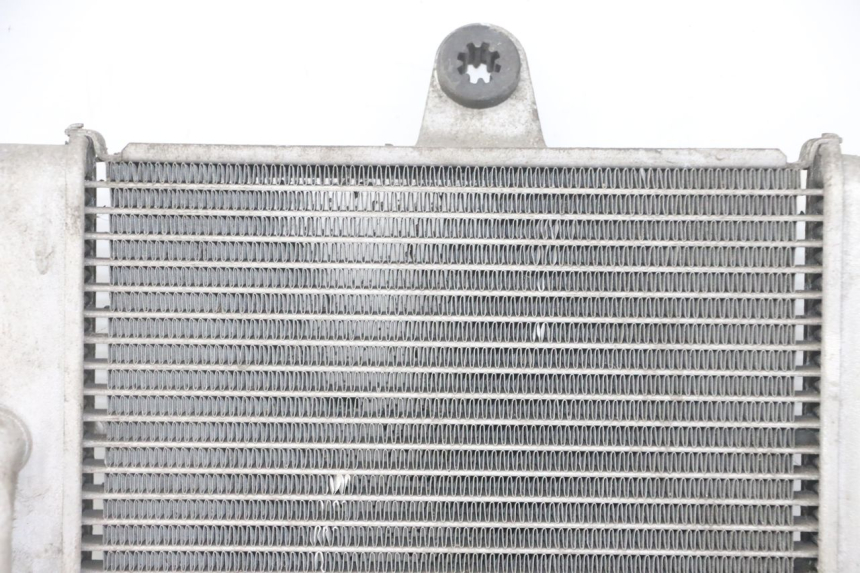 photo de RADIATEUR HONDA FORZA ABS 300 (2013 - 2017) - Zoom composants